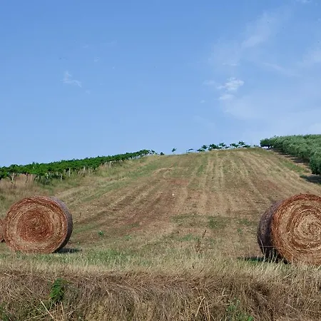 Appartamento Agriturismo Terra Di Ea