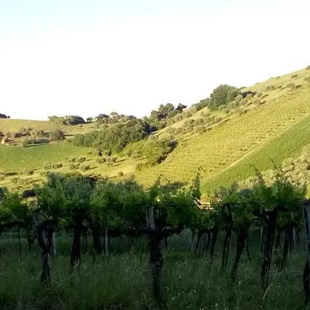 Appartamento Agriturismo Terra Di Ea Tortoreto